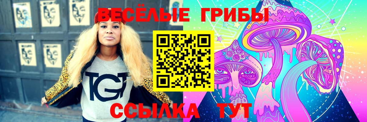 Псилоцибиновые грибы Psilocybine cubensis  Псилоцибиновые грибы ЛСД  Строитель  Вход с VPN 